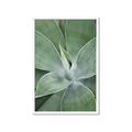 Picture of Up Close & Green _GroupedProduct_Rectangle_Portrait_Photography _GroupedProduct_Rectangle_Portrait_Framed_Matted_