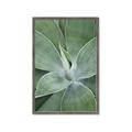 Picture of Up Close & Green _GroupedProduct_Rectangle_Portrait_Photography _GroupedProduct_Rectangle_Portrait_Framed_Matted_