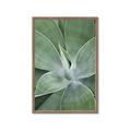 Picture of Up Close & Green _GroupedProduct_Rectangle_Portrait_Photography _GroupedProduct_Rectangle_Portrait_Framed_Matted_