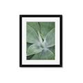Picture of Up Close & Green _GroupedProduct_Rectangle_Portrait_Photography _GroupedProduct_Rectangle_Portrait_Framed_Matted_