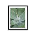 Picture of Up Close & Green _GroupedProduct_Rectangle_Portrait_Photography _GroupedProduct_Rectangle_Portrait_Framed_Matted_