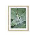 Picture of Up Close & Green _GroupedProduct_Rectangle_Portrait_Photography _GroupedProduct_Rectangle_Portrait_Framed_Matted_