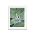 Picture of Up Close & Green _GroupedProduct_Rectangle_Portrait_Photography _GroupedProduct_Rectangle_Portrait_Framed_Matted_