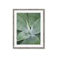 Picture of Up Close & Green _GroupedProduct_Rectangle_Portrait_Photography _GroupedProduct_Rectangle_Portrait_Framed_Matted_