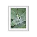 Picture of Up Close & Green _GroupedProduct_Rectangle_Portrait_Photography _GroupedProduct_Rectangle_Portrait_Framed_Matted_