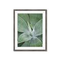 Picture of Up Close & Green _GroupedProduct_Rectangle_Portrait_Photography _GroupedProduct_Rectangle_Portrait_Framed_Matted_
