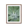 Picture of Up Close & Green _GroupedProduct_Rectangle_Portrait_Photography _GroupedProduct_Rectangle_Portrait_Framed_Matted_