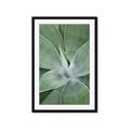 Picture of Up Close & Green _GroupedProduct_Rectangle_Portrait_Photography _GroupedProduct_Rectangle_Portrait_Framed_Matted_