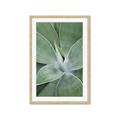 Picture of Up Close & Green _GroupedProduct_Rectangle_Portrait_Photography _GroupedProduct_Rectangle_Portrait_Framed_Matted_