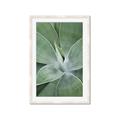 Picture of Up Close & Green _GroupedProduct_Rectangle_Portrait_Photography _GroupedProduct_Rectangle_Portrait_Framed_Matted_
