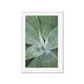Picture of Up Close & Green _GroupedProduct_Rectangle_Portrait_Photography _GroupedProduct_Rectangle_Portrait_Framed_Matted_