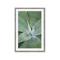 Picture of Up Close & Green _GroupedProduct_Rectangle_Portrait_Photography _GroupedProduct_Rectangle_Portrait_Framed_Matted_