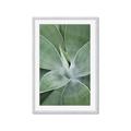 Picture of Up Close & Green _GroupedProduct_Rectangle_Portrait_Photography _GroupedProduct_Rectangle_Portrait_Framed_Matted_