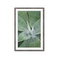 Picture of Up Close & Green _GroupedProduct_Rectangle_Portrait_Photography _GroupedProduct_Rectangle_Portrait_Framed_Matted_