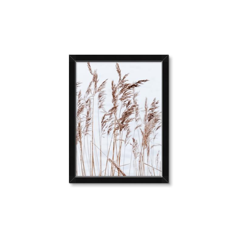 Picture of Wheat in the Wind  _GroupedProduct_Rectangle_Portrait_Photography _GroupedProduct_Rectangle_Portrait_Framed_Matted_