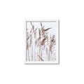 Picture of Wheat in the Wind  _GroupedProduct_Rectangle_Portrait_Photography _GroupedProduct_Rectangle_Portrait_Framed_Matted_