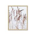 Picture of Wheat in the Wind  _GroupedProduct_Rectangle_Portrait_Photography _GroupedProduct_Rectangle_Portrait_Framed_Matted_