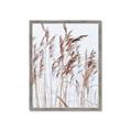Picture of Wheat in the Wind  _GroupedProduct_Rectangle_Portrait_Photography _GroupedProduct_Rectangle_Portrait_Framed_Matted_