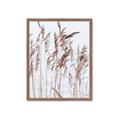Picture of Wheat in the Wind  _GroupedProduct_Rectangle_Portrait_Photography _GroupedProduct_Rectangle_Portrait_Framed_Matted_