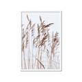 Picture of Wheat in the Wind  _GroupedProduct_Rectangle_Portrait_Photography _GroupedProduct_Rectangle_Portrait_Framed_Matted_