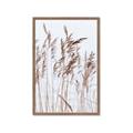 Picture of Wheat in the Wind  _GroupedProduct_Rectangle_Portrait_Photography _GroupedProduct_Rectangle_Portrait_Framed_Matted_