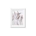 Picture of Wheat in the Wind  _GroupedProduct_Rectangle_Portrait_Photography _GroupedProduct_Rectangle_Portrait_Framed_Matted_