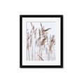 Picture of Wheat in the Wind  _GroupedProduct_Rectangle_Portrait_Photography _GroupedProduct_Rectangle_Portrait_Framed_Matted_