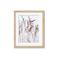 Picture of Wheat in the Wind  _GroupedProduct_Rectangle_Portrait_Photography _GroupedProduct_Rectangle_Portrait_Framed_Matted_