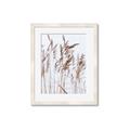 Picture of Wheat in the Wind  _GroupedProduct_Rectangle_Portrait_Photography _GroupedProduct_Rectangle_Portrait_Framed_Matted_