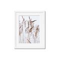 Picture of Wheat in the Wind  _GroupedProduct_Rectangle_Portrait_Photography _GroupedProduct_Rectangle_Portrait_Framed_Matted_