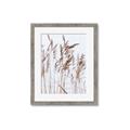 Picture of Wheat in the Wind  _GroupedProduct_Rectangle_Portrait_Photography _GroupedProduct_Rectangle_Portrait_Framed_Matted_