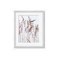 Picture of Wheat in the Wind  _GroupedProduct_Rectangle_Portrait_Photography _GroupedProduct_Rectangle_Portrait_Framed_Matted_