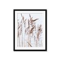 Picture of Wheat in the Wind  _GroupedProduct_Rectangle_Portrait_Photography _GroupedProduct_Rectangle_Portrait_Framed_Matted_