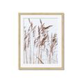 Picture of Wheat in the Wind  _GroupedProduct_Rectangle_Portrait_Photography _GroupedProduct_Rectangle_Portrait_Framed_Matted_
