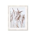Picture of Wheat in the Wind  _GroupedProduct_Rectangle_Portrait_Photography _GroupedProduct_Rectangle_Portrait_Framed_Matted_