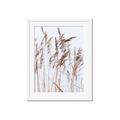 Picture of Wheat in the Wind  _GroupedProduct_Rectangle_Portrait_Photography _GroupedProduct_Rectangle_Portrait_Framed_Matted_