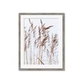 Picture of Wheat in the Wind  _GroupedProduct_Rectangle_Portrait_Photography _GroupedProduct_Rectangle_Portrait_Framed_Matted_
