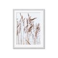 Picture of Wheat in the Wind  _GroupedProduct_Rectangle_Portrait_Photography _GroupedProduct_Rectangle_Portrait_Framed_Matted_