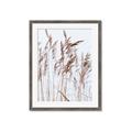 Picture of Wheat in the Wind  _GroupedProduct_Rectangle_Portrait_Photography _GroupedProduct_Rectangle_Portrait_Framed_Matted_