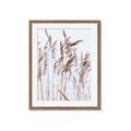 Picture of Wheat in the Wind  _GroupedProduct_Rectangle_Portrait_Photography _GroupedProduct_Rectangle_Portrait_Framed_Matted_