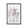 Picture of Wheat in the Wind  _GroupedProduct_Rectangle_Portrait_Photography _GroupedProduct_Rectangle_Portrait_Framed_Matted_