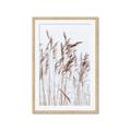 Picture of Wheat in the Wind  _GroupedProduct_Rectangle_Portrait_Photography _GroupedProduct_Rectangle_Portrait_Framed_Matted_