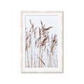 Picture of Wheat in the Wind  _GroupedProduct_Rectangle_Portrait_Photography _GroupedProduct_Rectangle_Portrait_Framed_Matted_