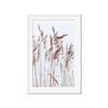 Picture of Wheat in the Wind  _GroupedProduct_Rectangle_Portrait_Photography _GroupedProduct_Rectangle_Portrait_Framed_Matted_