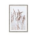 Picture of Wheat in the Wind  _GroupedProduct_Rectangle_Portrait_Photography _GroupedProduct_Rectangle_Portrait_Framed_Matted_