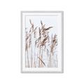 Picture of Wheat in the Wind  _GroupedProduct_Rectangle_Portrait_Photography _GroupedProduct_Rectangle_Portrait_Framed_Matted_