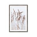 Picture of Wheat in the Wind  _GroupedProduct_Rectangle_Portrait_Photography _GroupedProduct_Rectangle_Portrait_Framed_Matted_