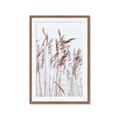 Picture of Wheat in the Wind  _GroupedProduct_Rectangle_Portrait_Photography _GroupedProduct_Rectangle_Portrait_Framed_Matted_