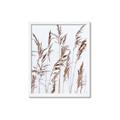 Picture of Wheat in the Wind III _GroupedProduct_Rectangle_Portrait_Photography _GroupedProduct_Rectangle_Portrait_Framed_Matted_
