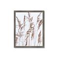 Picture of Wheat in the Wind III _GroupedProduct_Rectangle_Portrait_Photography _GroupedProduct_Rectangle_Portrait_Framed_Matted_